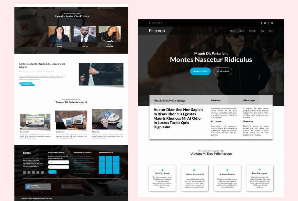 Filexnon HTML CSS Template Totally Free Download